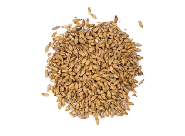 Eraclea Pilsner Malt