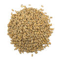 Hvete Malt 25 kg Knust J&#230;rmalt 3-3,5 EBC